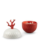Coral Candle, Mediterranean Beach Scent